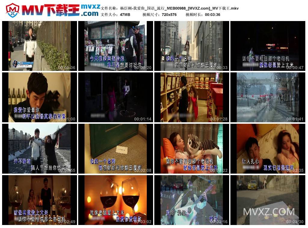 杨臣刚-我爱你_国语_流行_MEB00988